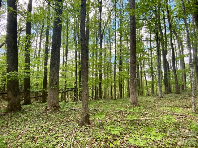 TBD US 23 Highway, Mars Hill, NC 28754