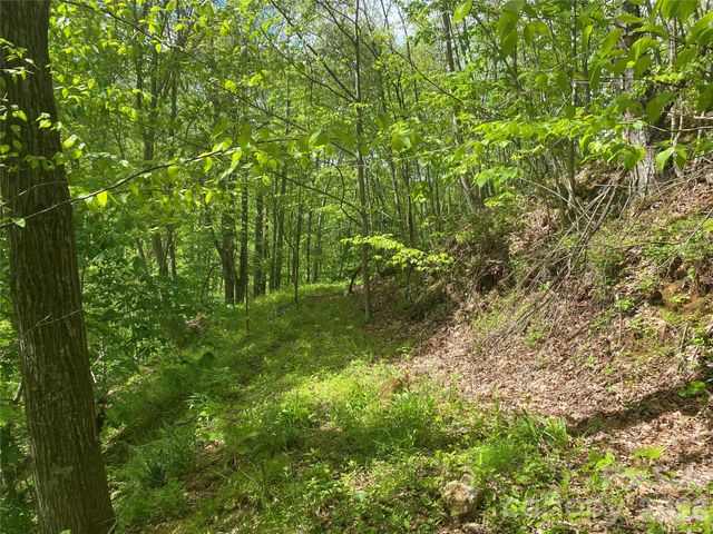 TBD US 23 Highway, Mars Hill, NC 28754