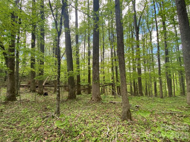 TBD US 23 Highway, Mars Hill, NC 28754