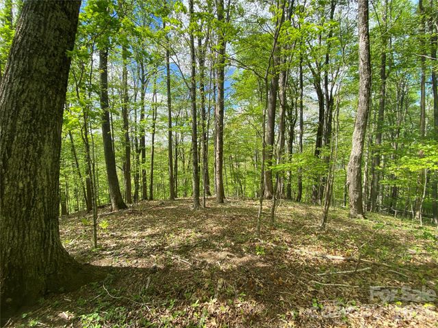 TBD US 23 Highway, Mars Hill, NC 28754