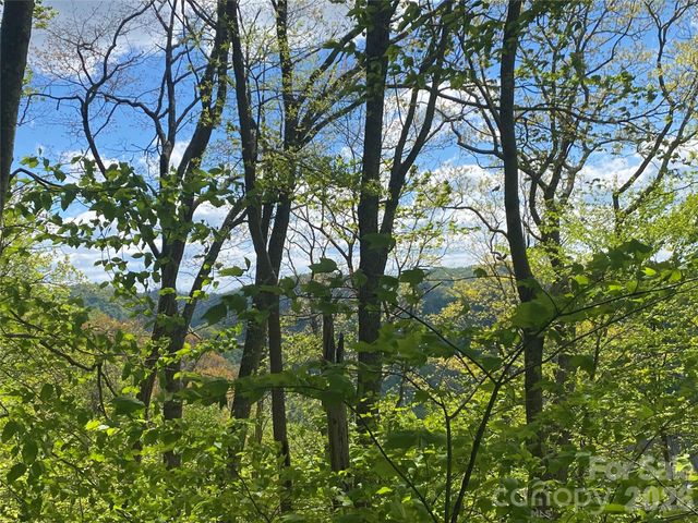 TBD US 23 Highway, Mars Hill, NC 28754