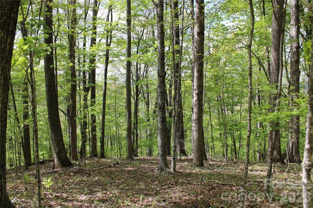 TBD US 23 Highway, Mars Hill, NC 28754