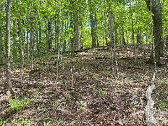TBD US 23 Highway, Mars Hill, NC 28754