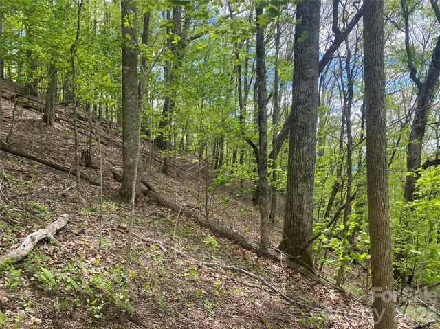 TBD US 23 Highway, Mars Hill, NC 28754