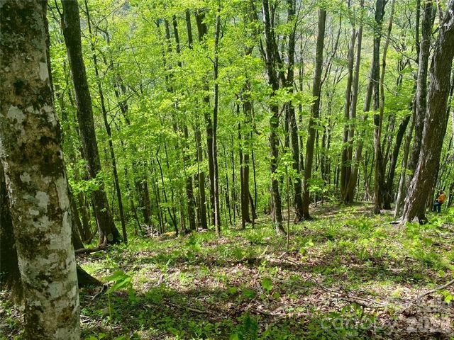 TBD US 23 Highway, Mars Hill, NC 28754