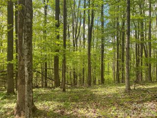 TBD US 23 Highway, Mars Hill, NC 28754