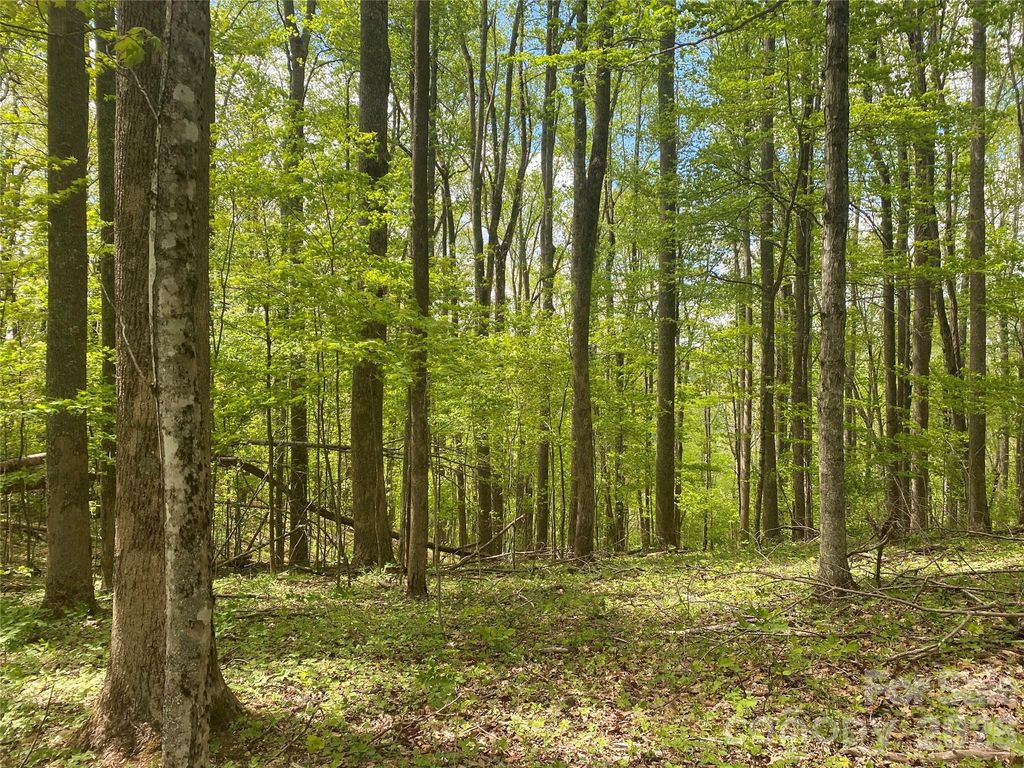 TBD US 23 Highway, Mars Hill, NC 28754