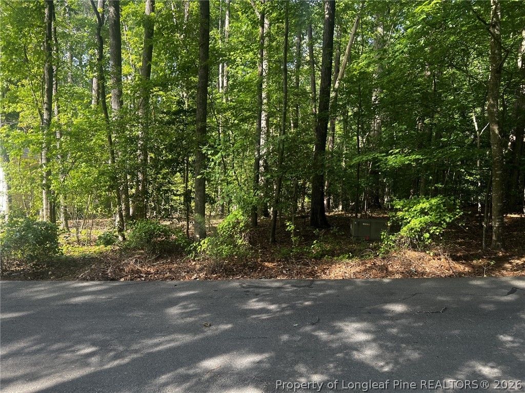 992 Whistling Wind, Sanford, NC 27332 — exterior