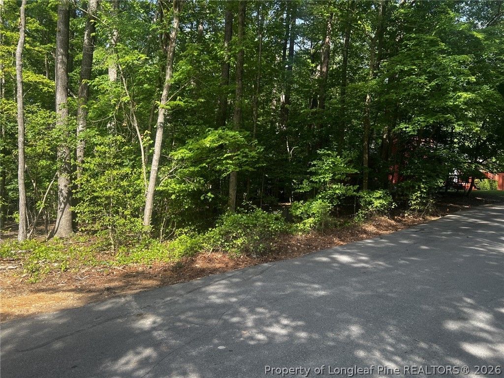 992 Whistling Wind, Sanford, NC 27332 — photo 3