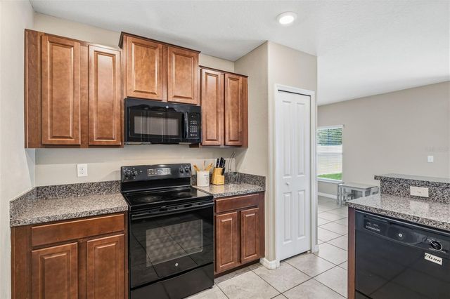 4002 CAT MINT STREET, Tampa, FL 33619