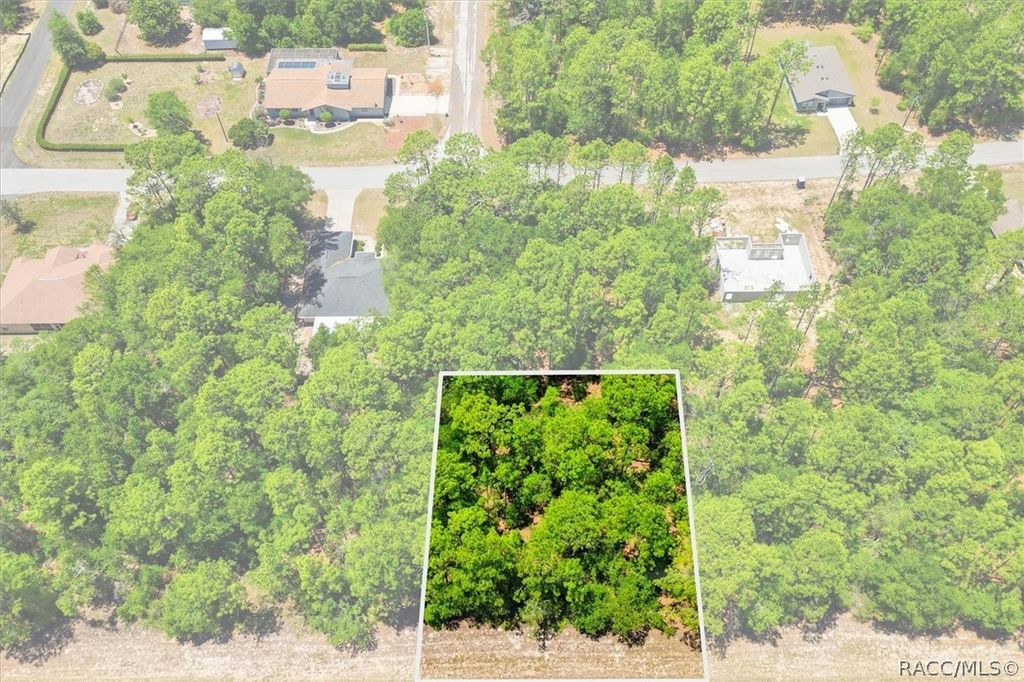 10858 N Elkcam Boulevard, Citrus Springs, FL 34433