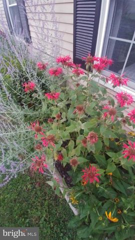 11 OAKPLACE CT W, Harleysville, PA 19438