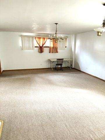 463 W 23rd Place Basement, Chicago, IL 60616