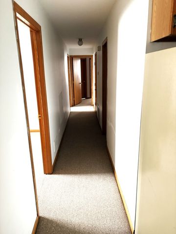 463 W 23rd Place Basement, Chicago, IL 60616