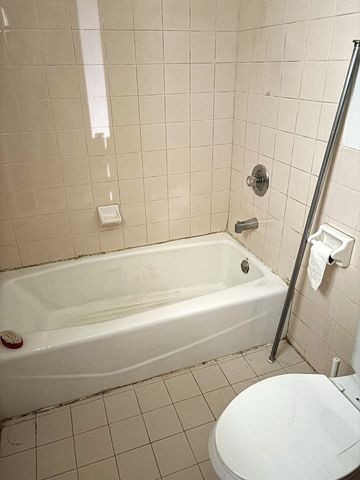 463 W 23rd Place Basement, Chicago, IL 60616