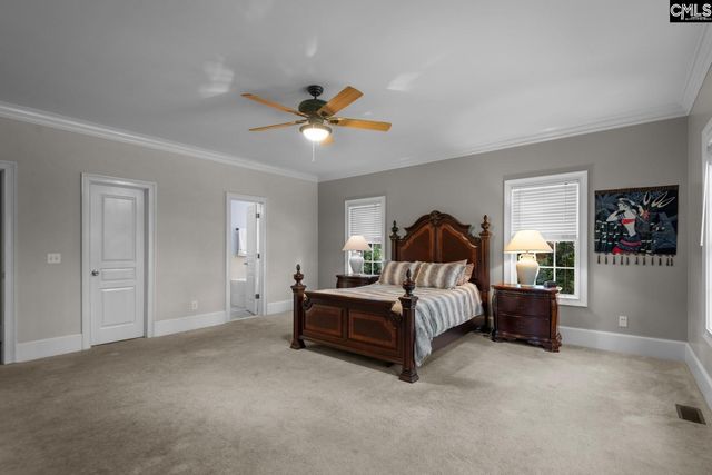 115 Pointe Overlook Drive, Chapin, SC 29036