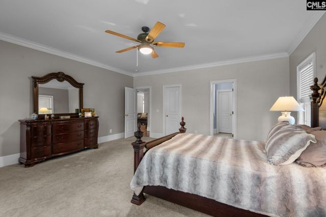 115 Pointe Overlook Drive, Chapin, SC 29036