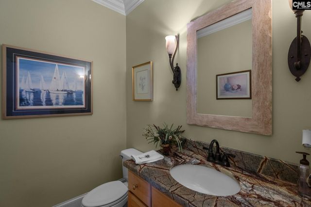 115 Pointe Overlook Drive, Chapin, SC 29036