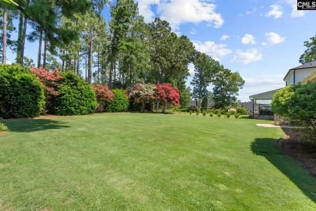 115 Pointe Overlook Drive, Chapin, SC 29036