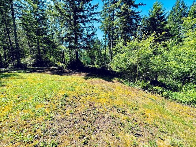 401 E Sunset Ridge Road, Union, WA 98592