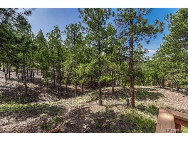 14694 Crooked Trail Rd, Woodland Park, CO 80863