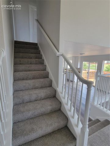 10025 everglades Drive, Colorado Springs, CO 80831