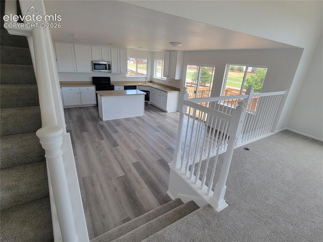 10025 everglades Drive, Colorado Springs, CO 80831