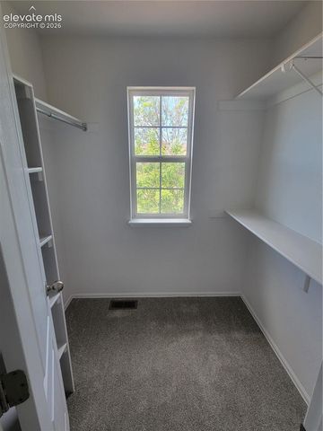 10025 everglades Drive, Colorado Springs, CO 80831
