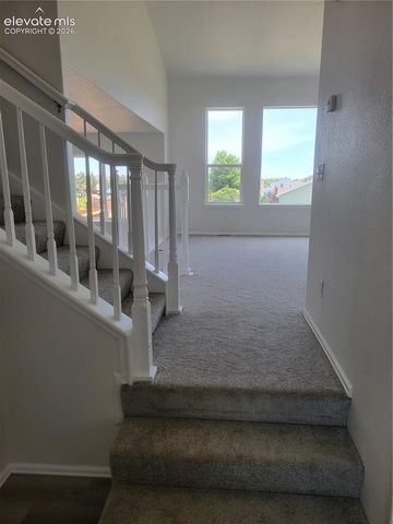 10025 everglades Drive, Colorado Springs, CO 80831