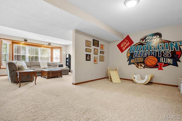 3754 Boatmans Point, Shiloh, IL 62221