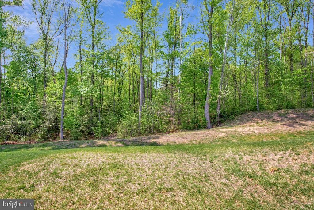 Image 39 of property listing at 1536 CATBRIAR WAY, Odenton, MD 21113