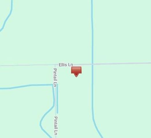 0 Pintail Lane, Rock Island, TX 77470