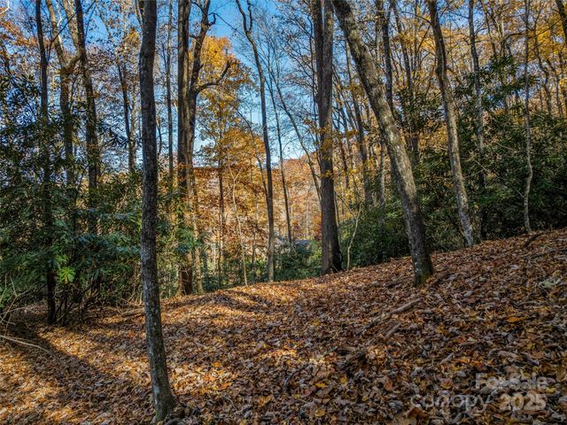 241 Skye Drive, Pisgah Forest, NC 28768