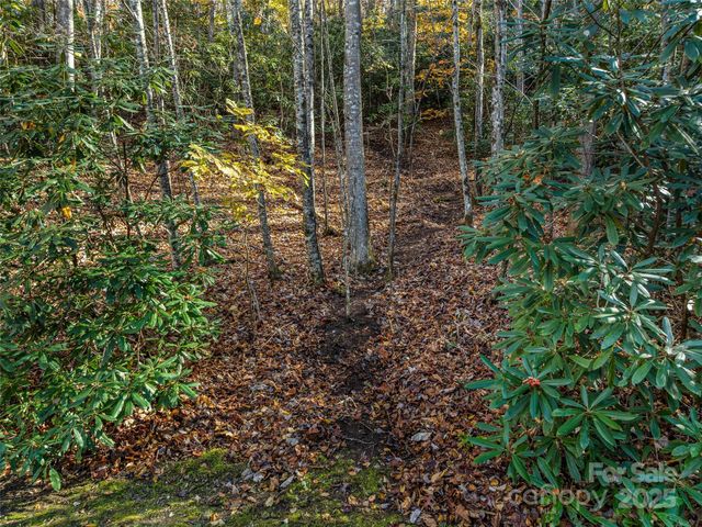 241 Skye Drive, Pisgah Forest, NC 28768