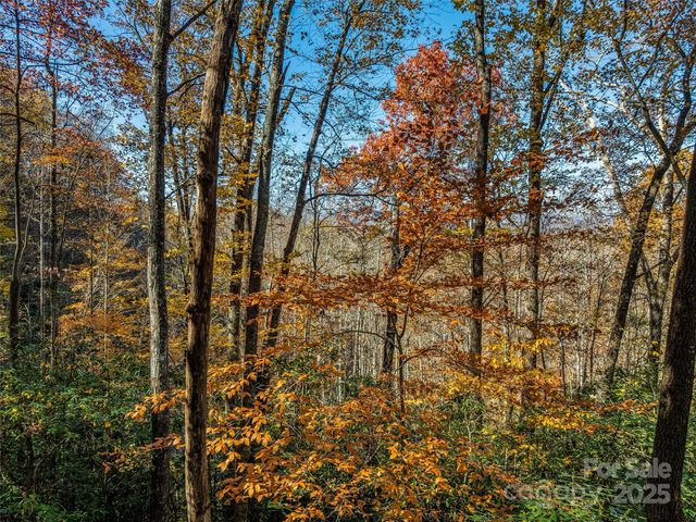 241 Skye Drive, Pisgah Forest, NC 28768