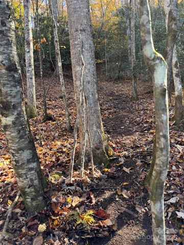 241 Skye Drive, Pisgah Forest, NC 28768