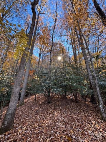 241 Skye Drive, Pisgah Forest, NC 28768