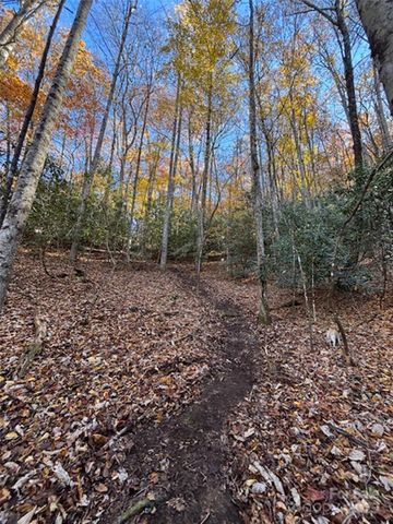 241 Skye Drive, Pisgah Forest, NC 28768