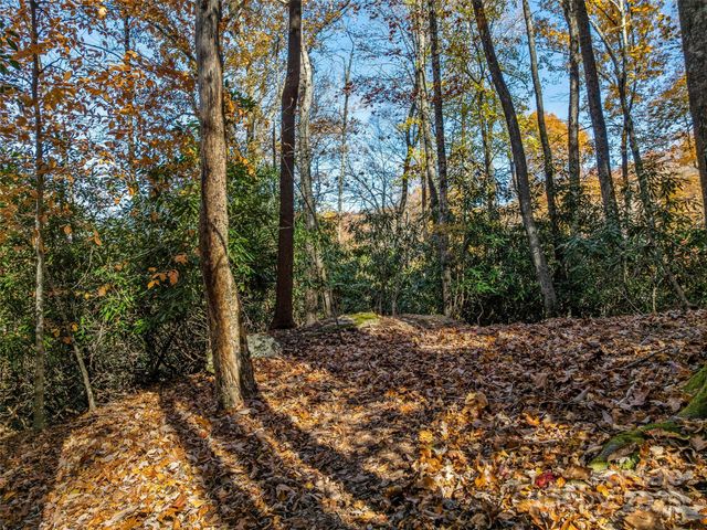 241 Skye Drive, Pisgah Forest, NC 28768