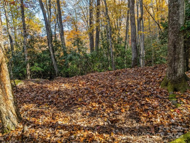 241 Skye Drive, Pisgah Forest, NC 28768