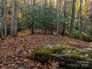 241 Skye Drive, Pisgah Forest, NC 28768