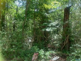 999 SE Brewer Street, Hartselle, AL 35640