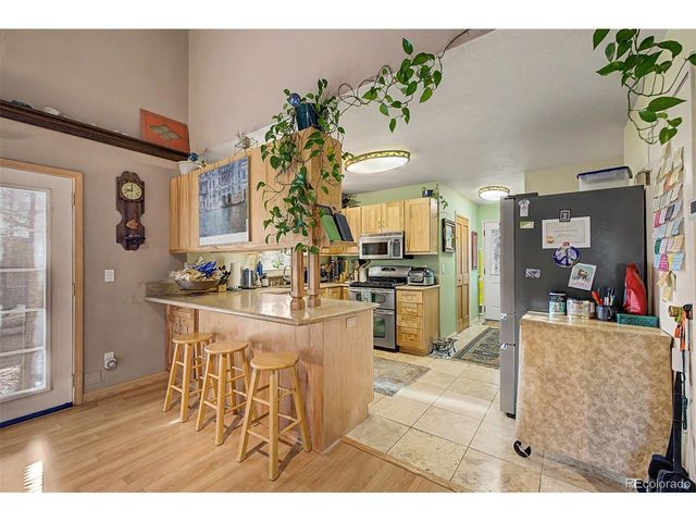 55 Rafferty Dr, Leadville, CO 80461