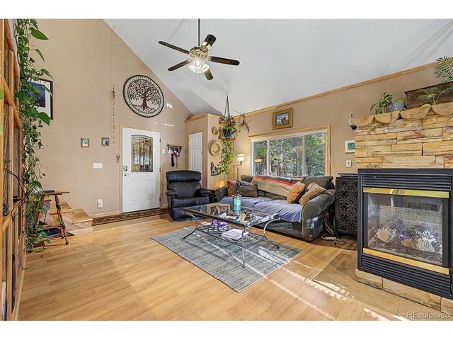 55 Rafferty Dr, Leadville, CO 80461
