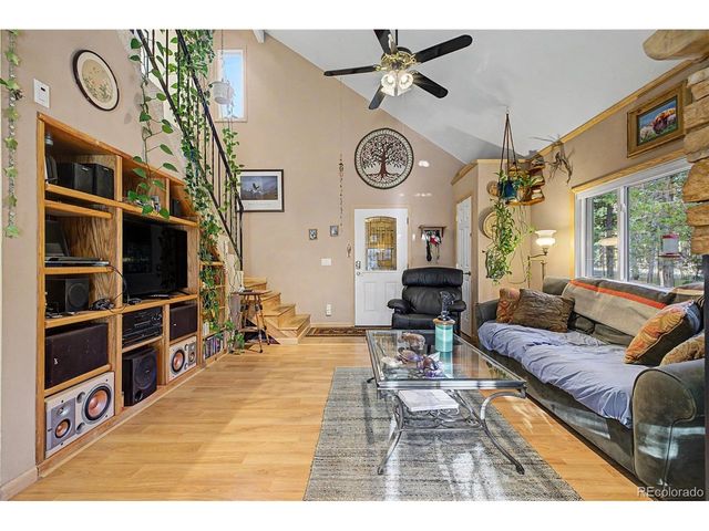 55 Rafferty Dr, Leadville, CO 80461