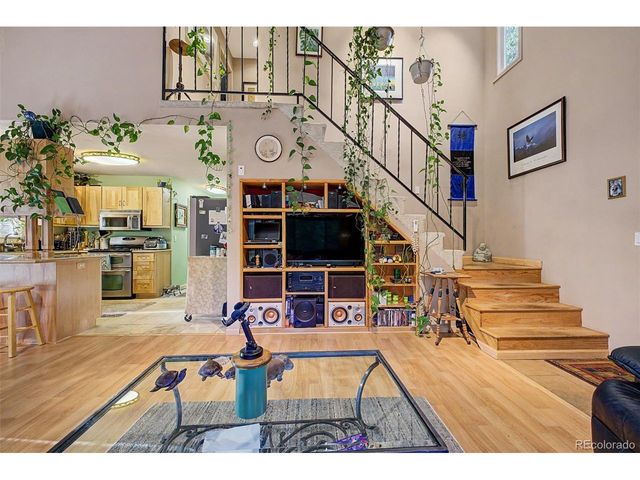 55 Rafferty Dr, Leadville, CO 80461