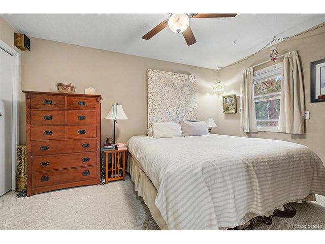 55 Rafferty Dr, Leadville, CO 80461