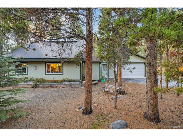 55 Rafferty Dr, Leadville, CO 80461