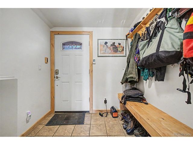 55 Rafferty Dr, Leadville, CO 80461