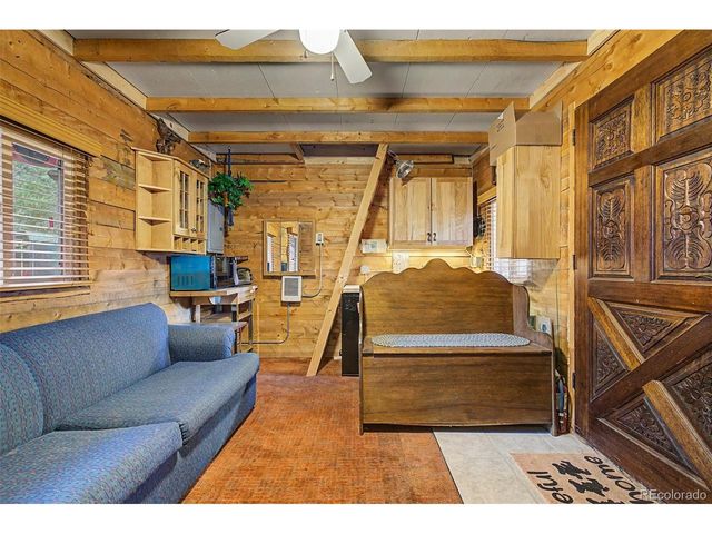 55 Rafferty Dr, Leadville, CO 80461